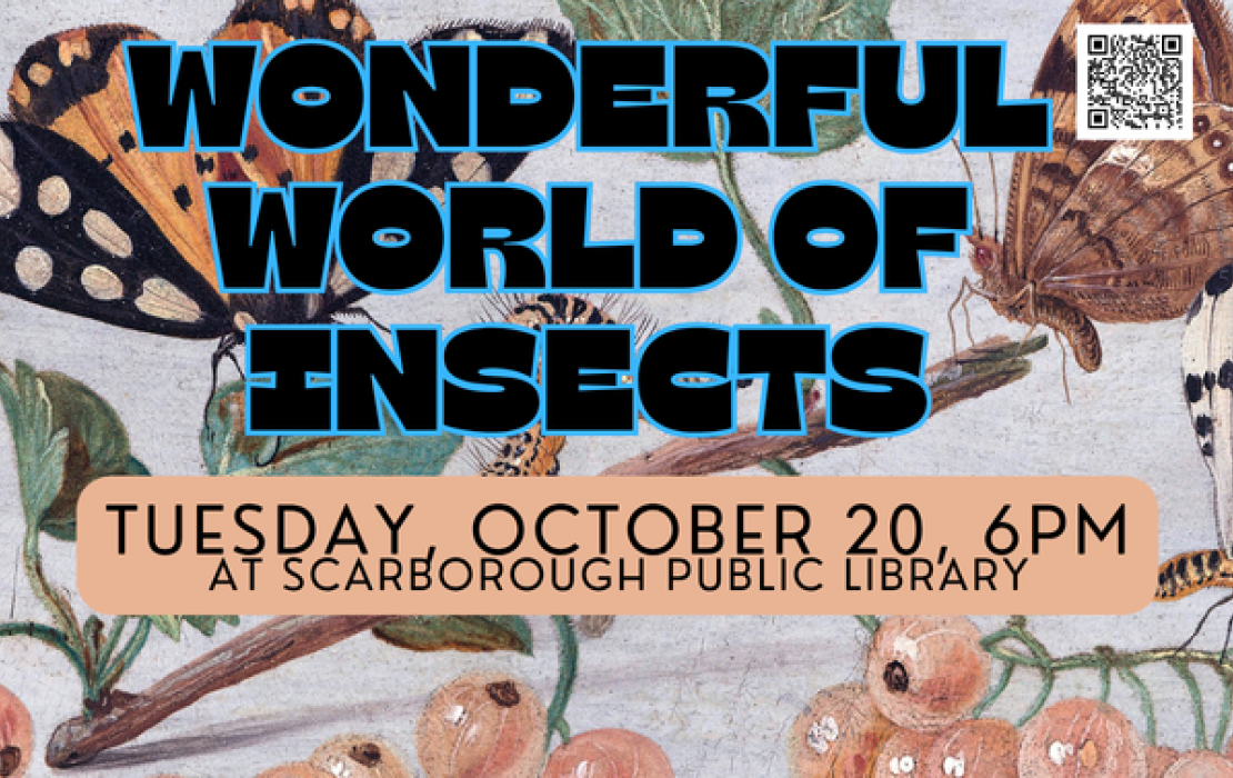 Wonderful World of Insects: Why Insects Matter