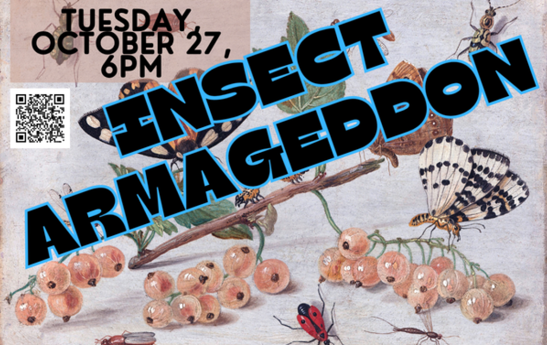 Wonderful World of Insects: Insect Armageddon