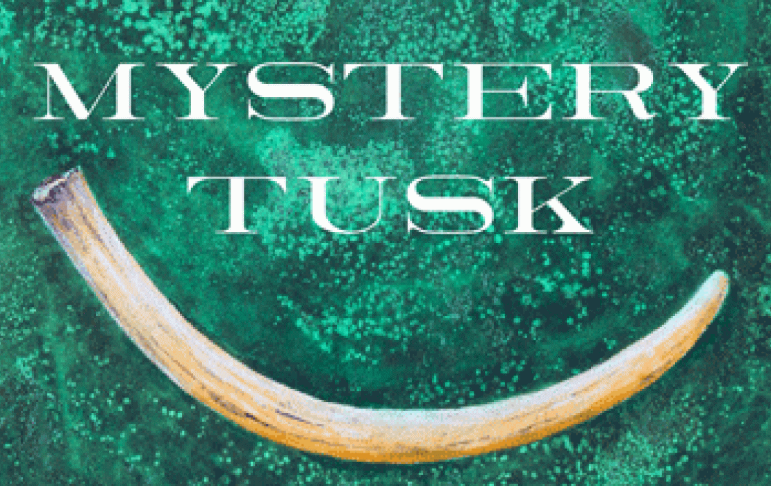 Cover of the book "Mystery Tusk" by Gary Hoyle