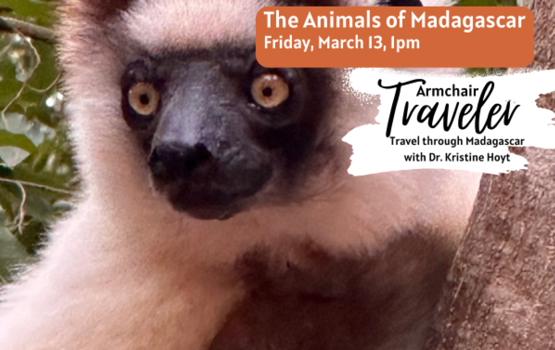 Armchair Traveler: The Animals of Madagascar
