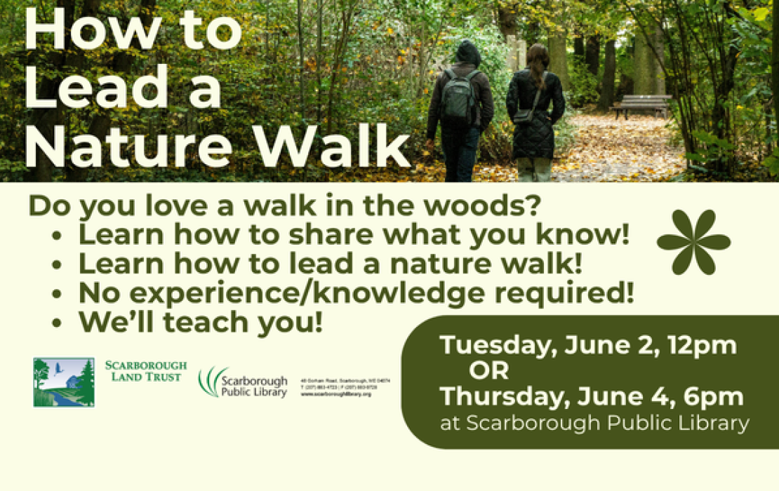 How to Lead a Nature Walk